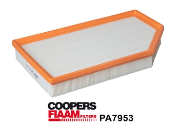 Air Filter (PA7953)