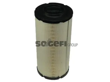 Air Filter (FLI9173)