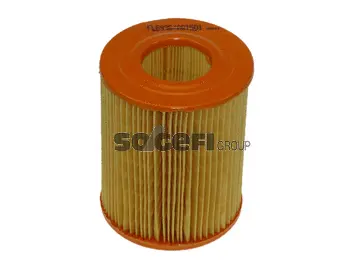 Air Filter (FL6936)