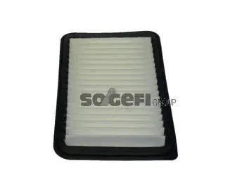 Air Filter (PA7765)