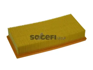 Air Filter (PA7124)