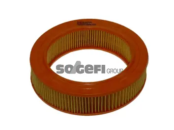 Air Filter (FL6570)