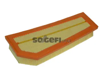 Air Filter (PA7665)