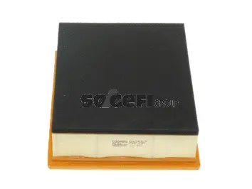 Air Filter (PA7597)