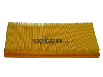 Air Filter (PA7199)