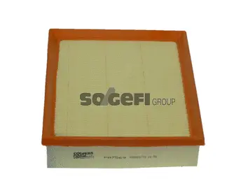 Air Filter (PA7569)
