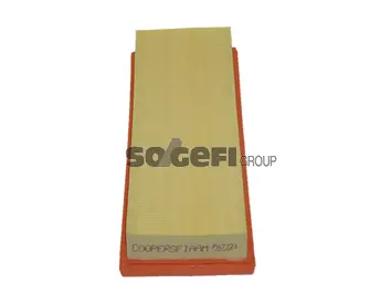 Air Filter (PA7721)