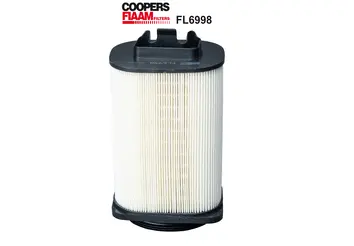 Air Filter (FL6998)
