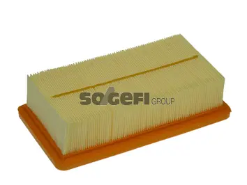 Air Filter (PA7095)