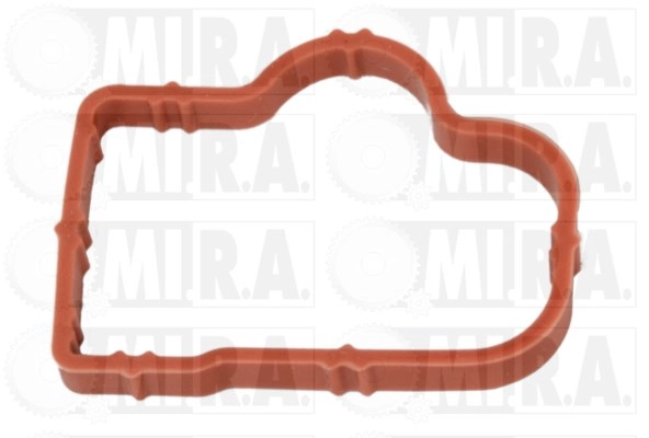 Gasket, intake manifold (13/4109G)