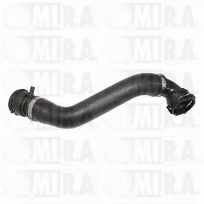 Radiator Hose (16/7731)