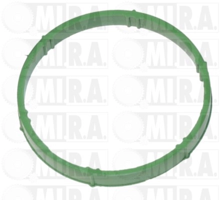 Gasket, intake manifold (13/4075G)