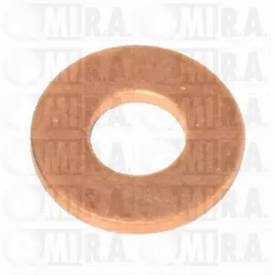 Heat Shield, injection system (55/3666)