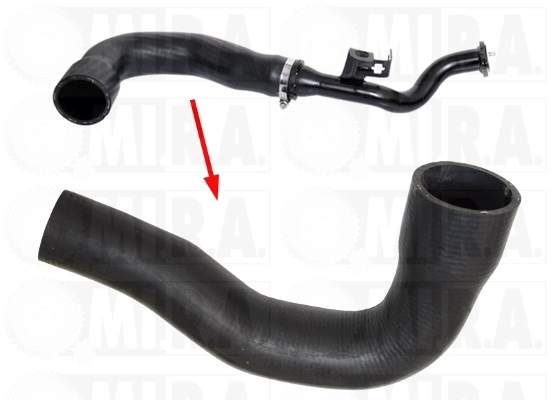 Charge Air Hose (16/4429)