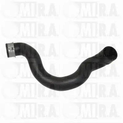 Radiator Hose (16/7685)
