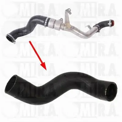 Charge Air Hose (16/4273)