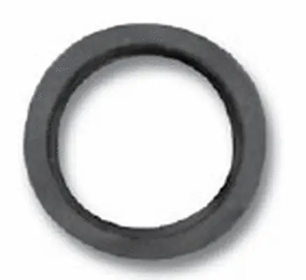 Seal Ring, oil drain plug (55/3555)