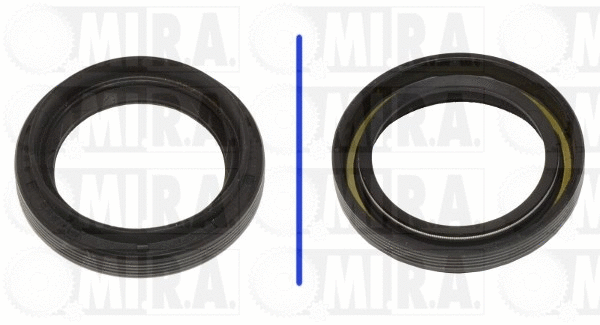 Shaft Seal, differential (37/7181)