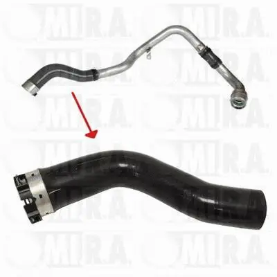 Charge Air Hose (16/3895)