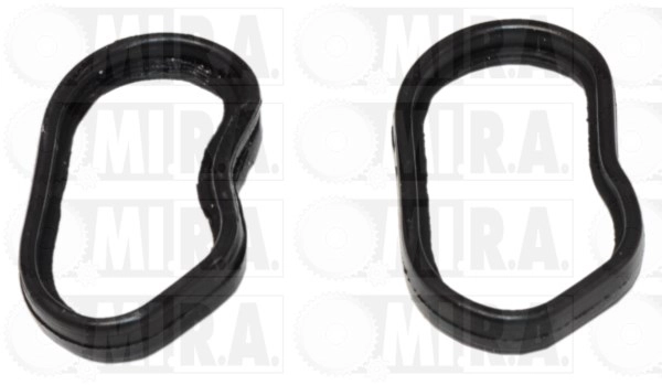 Gasket, oil cooler (28/2476G)