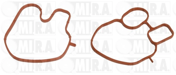 Gasket, EGR valve (24/1021G)