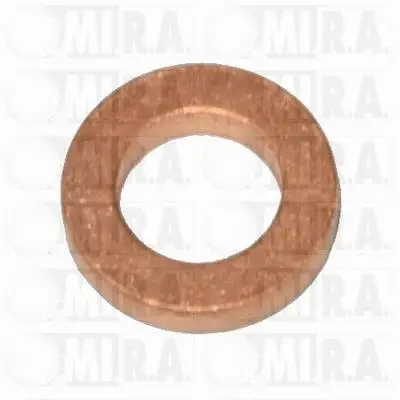 Heat Shield, injection system (55/3680)