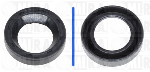 Seal Ring, injector (43/1131)