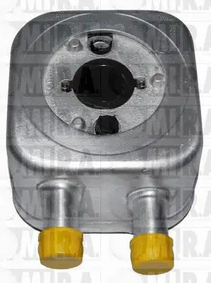 Oil Cooler, engine oil (28/2403)