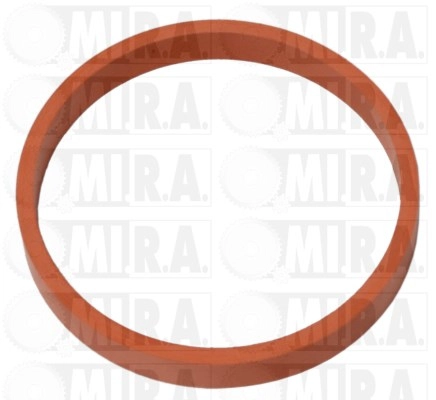 Charge Air Hose (16/4483G)