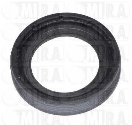 Shaft Seal, crankshaft (25/1057)