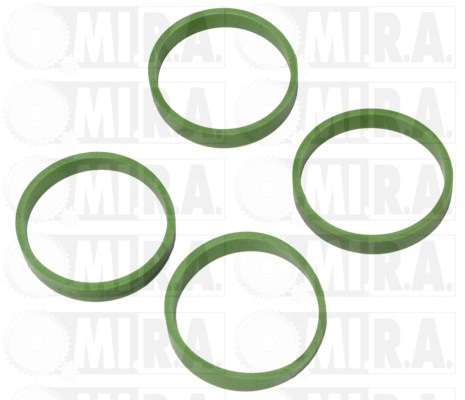 Gasket, intake manifold (13/4102G)