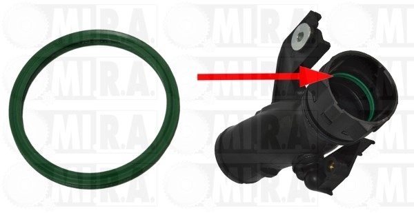 Charge Air Hose (16/4389G)