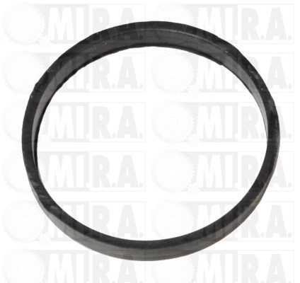 Seal, thermostat (15/3294G)
