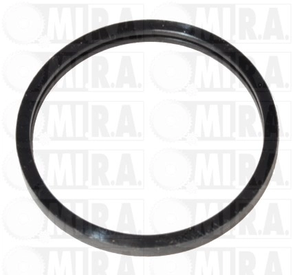 Gasket, thermostat housing (15/3293G)