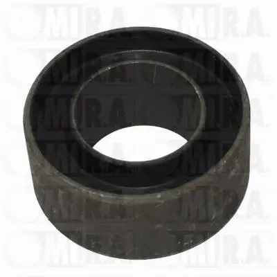 Bushing, axle beam (37/2060)