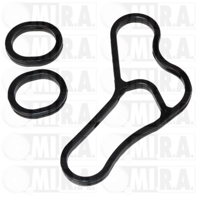 Gasket, oil cooler (28/2455G)