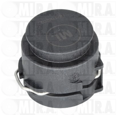Sealing Plug, coolant flange (15/3276)