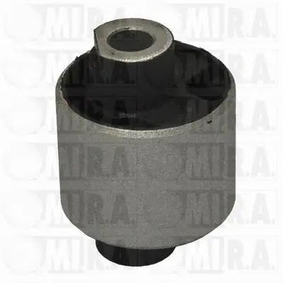 Mounting, differential (37/4304)