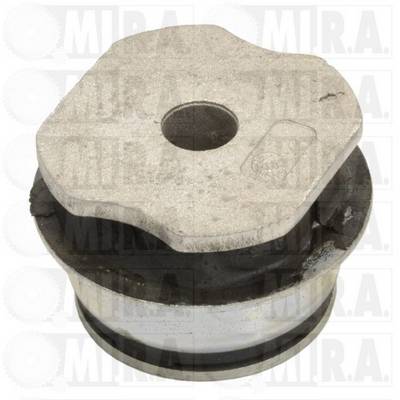 Bushing, axle beam (37/4016OR)