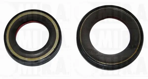 Shaft Seal, differential (37/1562)