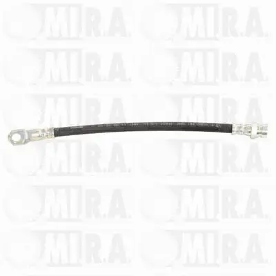 Brake Hose (29/1109)