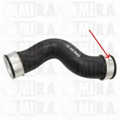 Charge Air Hose (16/3665)