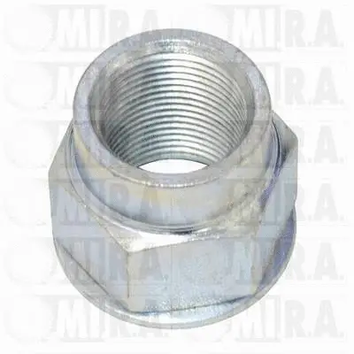 Nut, stub axle (29/1565)