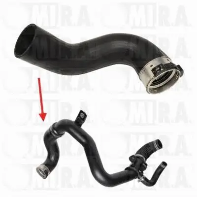 Charge Air Hose (16/3612)