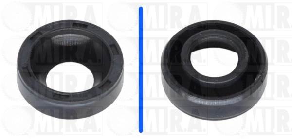 Seal Ring, injector (43/1125)