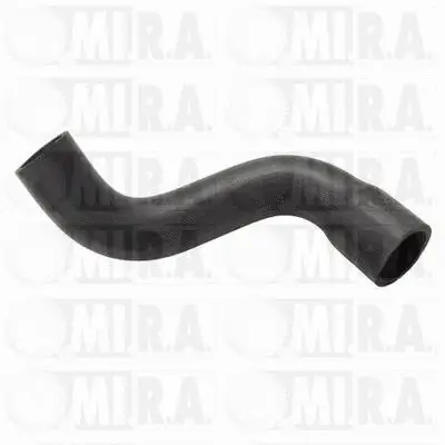 Radiator Hose (16/6077)