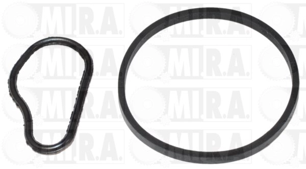 Seal Set, vacuum pump (29/6003G)