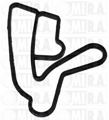 Gasket, oil cooler (28/2585G)