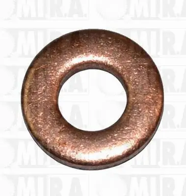 Heat Shield, injection system (55/3630)