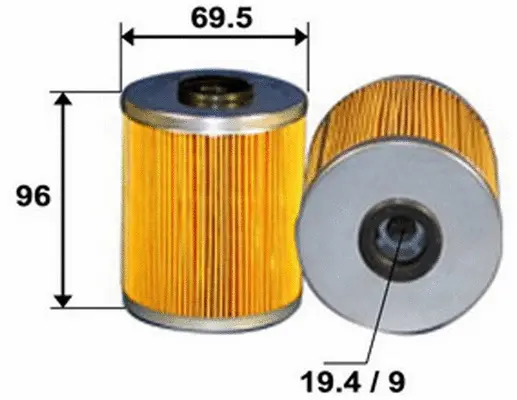 Fuel Filter (FE1007)